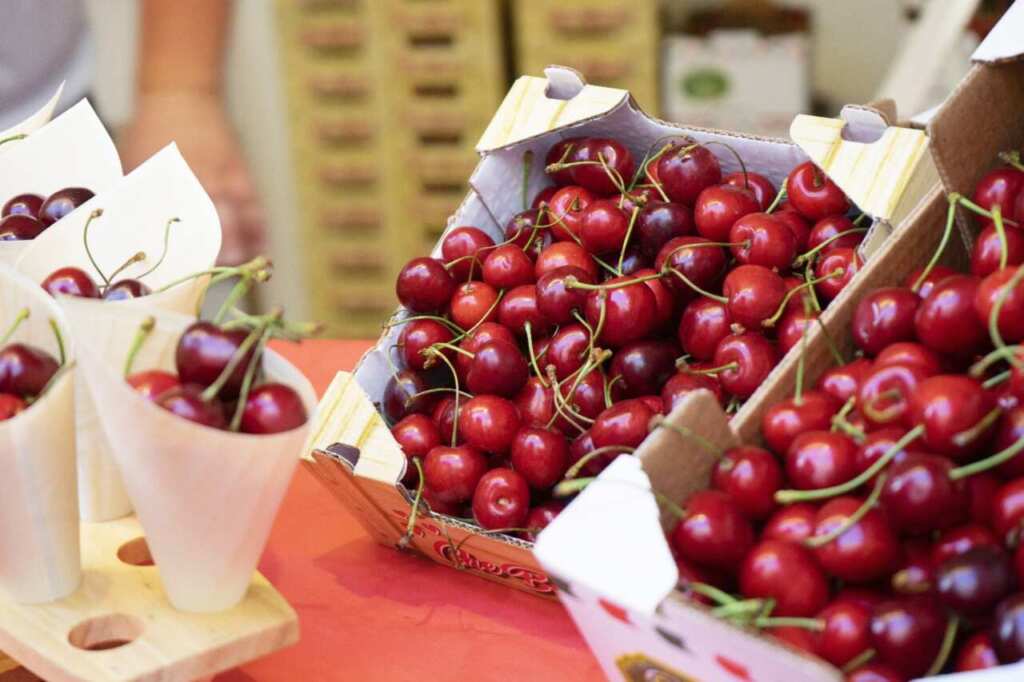 Turi si prepara alla 33esima Sagra della Ciliegia Ferrovia: tre giorni di festa, gusto e cultura – VIDEO