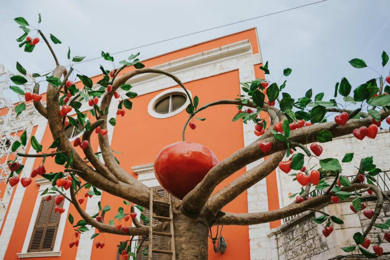 Turi si prepara alla 33esima Sagra della Ciliegia Ferrovia: tre giorni di festa, gusto e cultura – VIDEO