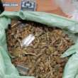 Corato, nasconde droga e ordigni artigianali ad alto potenziale esplosivo: arrestato un uomo
