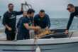 Castro, quattro tartarughe marine tornano libere: sono state curate nel Crtm di Calimera