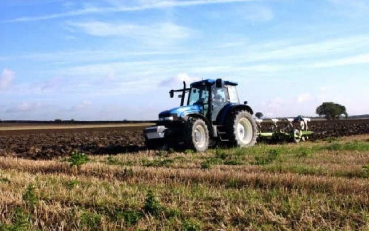 Agricoltura, in Puglia quasi 152mila lavoratori: crescono figure ad alta specializzazione tecnologica
