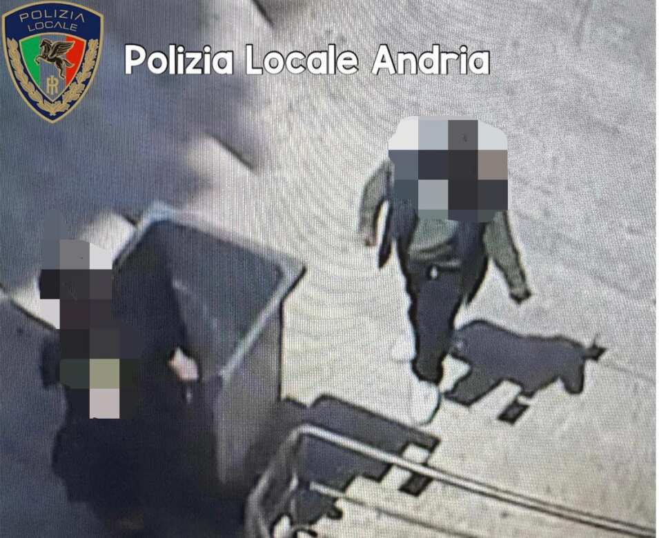 Danneggiano i bagni pubblici ad Andria: denunciati tre minori. La sindaca: «Emergenza educativa» – FOTO e VIDEO Danneggiano i bagni pubblici ad Andria: denunciati tre minori. La sindaca: «Emergenza educativa» – FOTO e VIDEO