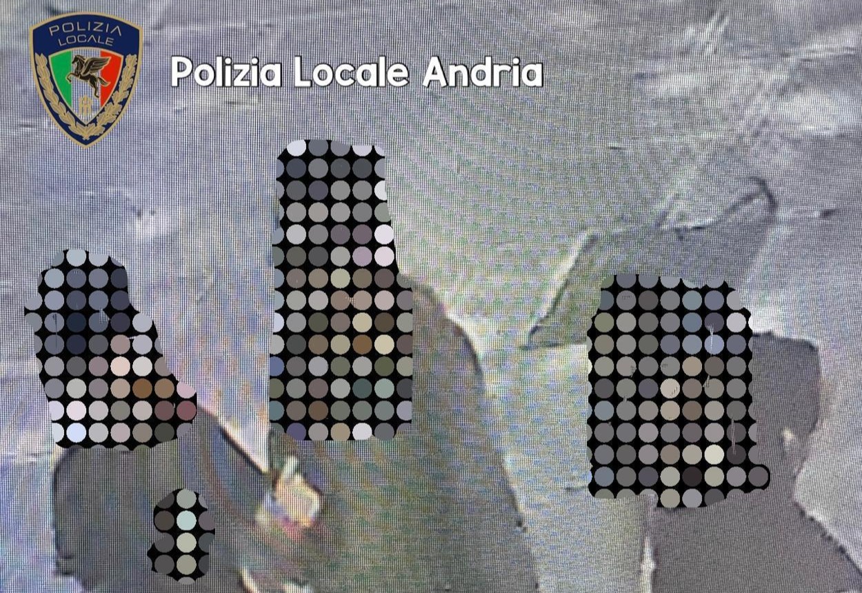 Danneggiano i bagni pubblici ad Andria: denunciati tre minori. La sindaca: «Emergenza educativa» – FOTO e VIDEO Danneggiano i bagni pubblici ad Andria: denunciati tre minori. La sindaca: «Emergenza educativa» – FOTO e VIDEO