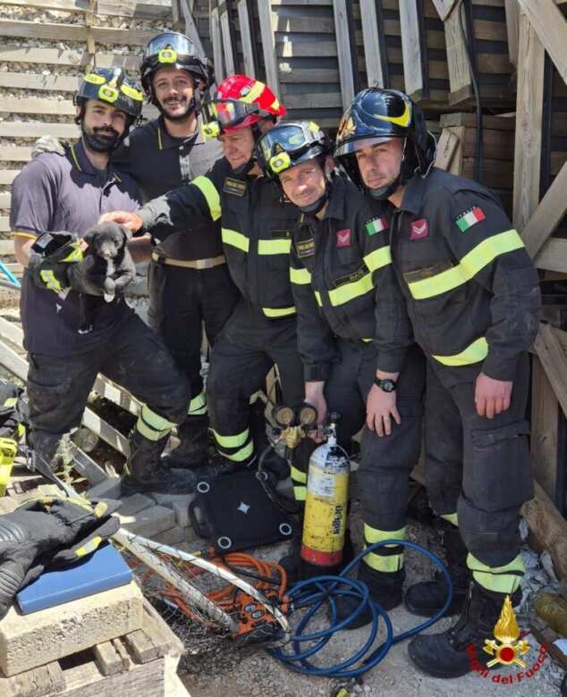 Sammichele di Bari, cuccioli incastrati sotto i pannelli anti-rumore della stazione: salvati dai vigili del fuoco