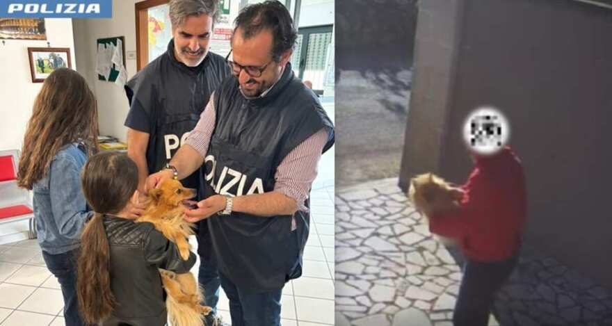 Manduria, ruba un volpino da un giardino e scappa: 59enne denunciato e cucciolo riconsegnato Manduria, ruba un volpino da un giardino e scappa: 59enne denunciato e cucciolo riconsegnato