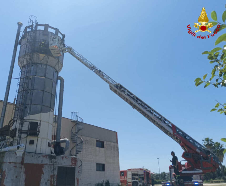 Galleria foto 'Incendio sfiorato a Monopoli: operai e impianto sprinkler sventano il peggio in un’azienda di legname – FOTO' - foto 4