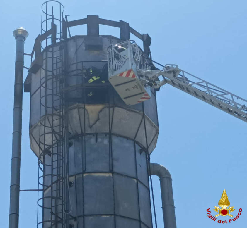 Galleria foto 'Incendio sfiorato a Monopoli: operai e impianto sprinkler sventano il peggio in un’azienda di legname – FOTO' - foto 1