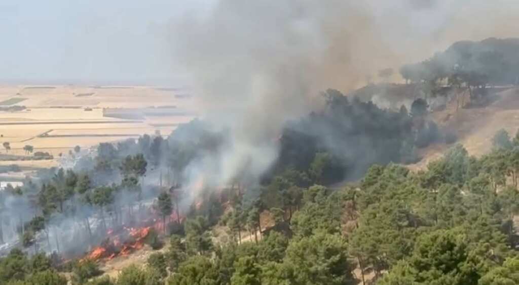 Galleria foto 'Vasto incendio a Lucera, canadair in azione. Il sindaco Pitta: «Vergogna dell’umanità»' - foto 1