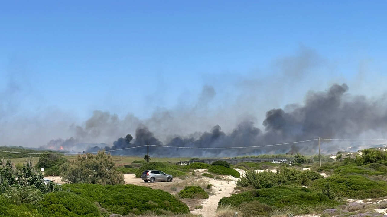 Galleria foto 'Incendio a Marina di Taranto, fiamme tra le sterpaglie: paura tra i bagnanti in fuga – VIDEO' - foto 1