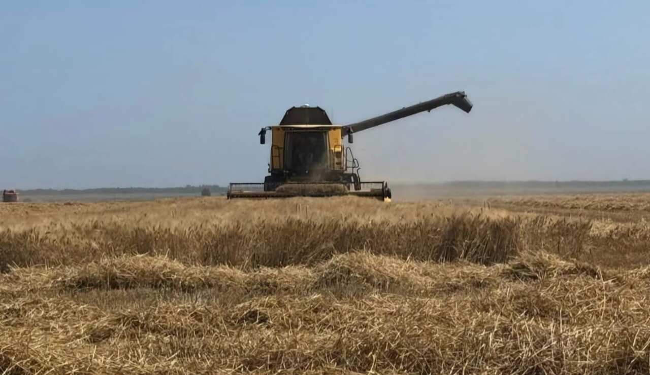 Terre d’Apulia, conguagli irrigui sospesi: boccata d’ossigeno per gli agricoltori Terre d’Apulia, conguagli irrigui sospesi: boccata d’ossigeno per gli agricoltori