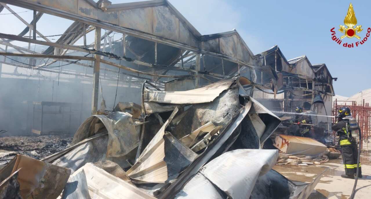 Galleria foto 'Incendio a Ruvo di Puglia: grosso capannone in fiamme, coinvolto anche un camion – FOTO' - foto 3