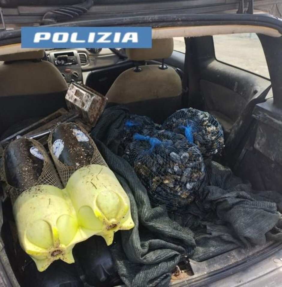 Galleria foto 'Taranto, sorpresi a raccogliere cozze in un’area fortemente inquinata del mar Piccolo: denunciati' - foto 1