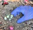 Talsano, sorvegliato speciale spaccia droga in piazza davanti ai bambini: 36enne finisce ai domiciliari