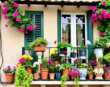 Balconi e davanzali in fiore raccontano la storia e la bellezza della Puglia