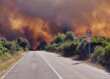 Allarme incendi in Italia: oltre 30mila ettari in fumo in sette mesi. Legambiente chiede un cambio rotta