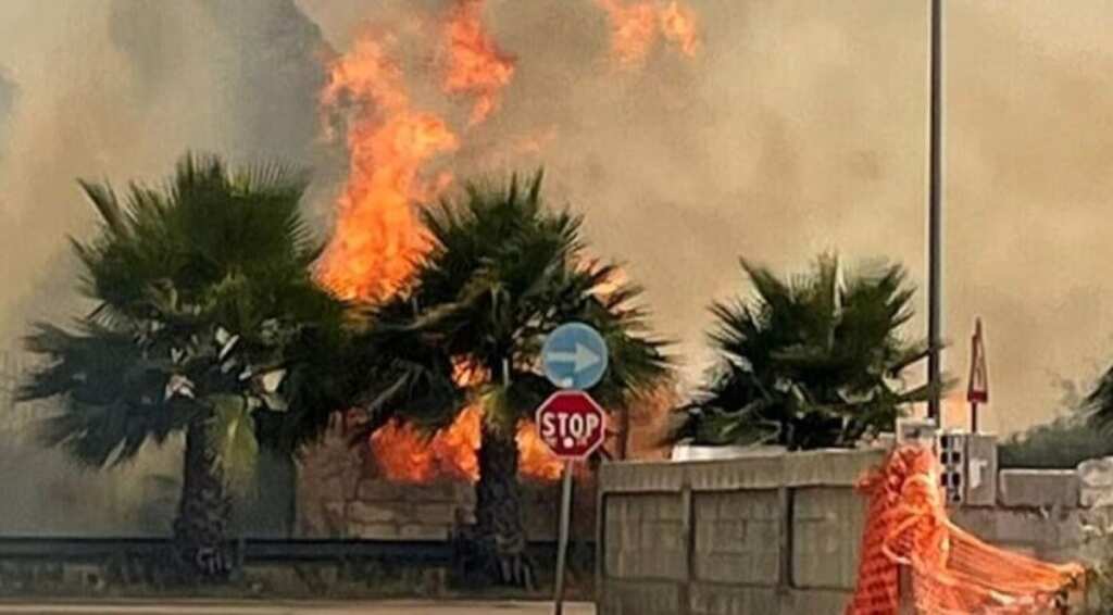 Galleria foto 'Puglia, contro gli incendi presto in campo 2mila uomini: la Regione avvia il Piano di prevenzione' - foto 1