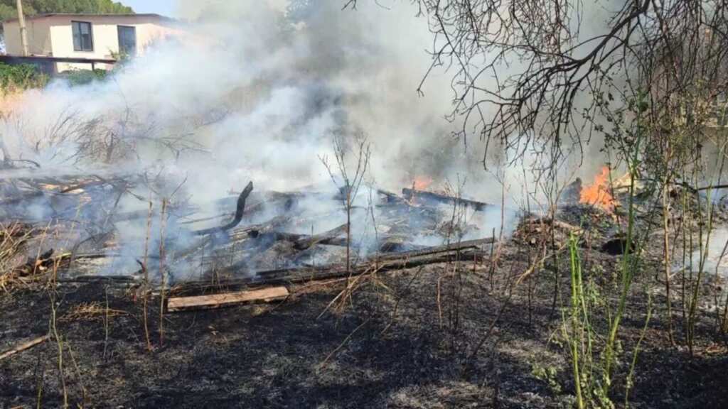 Galleria foto 'Foggia, vasto incendio alle porte della città: fuoco in un campo di grano, in fiamme anche sterpaglie e rifiuti' - foto 1