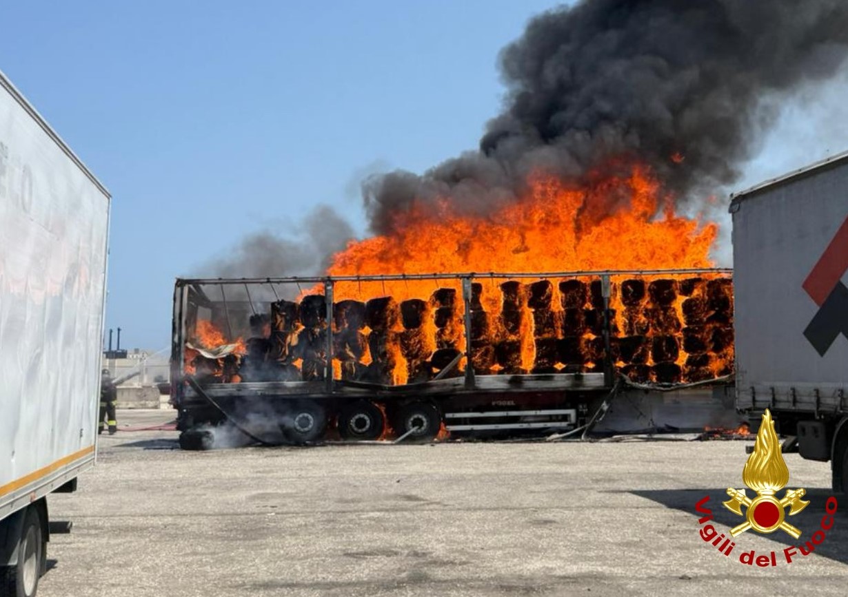 Galleria foto 'Bari, tir in fiamme all’ingresso del porto: fumo nero visibile in più punti della città. Intervengono i vigili del fuoco – FOTO' - foto 5
