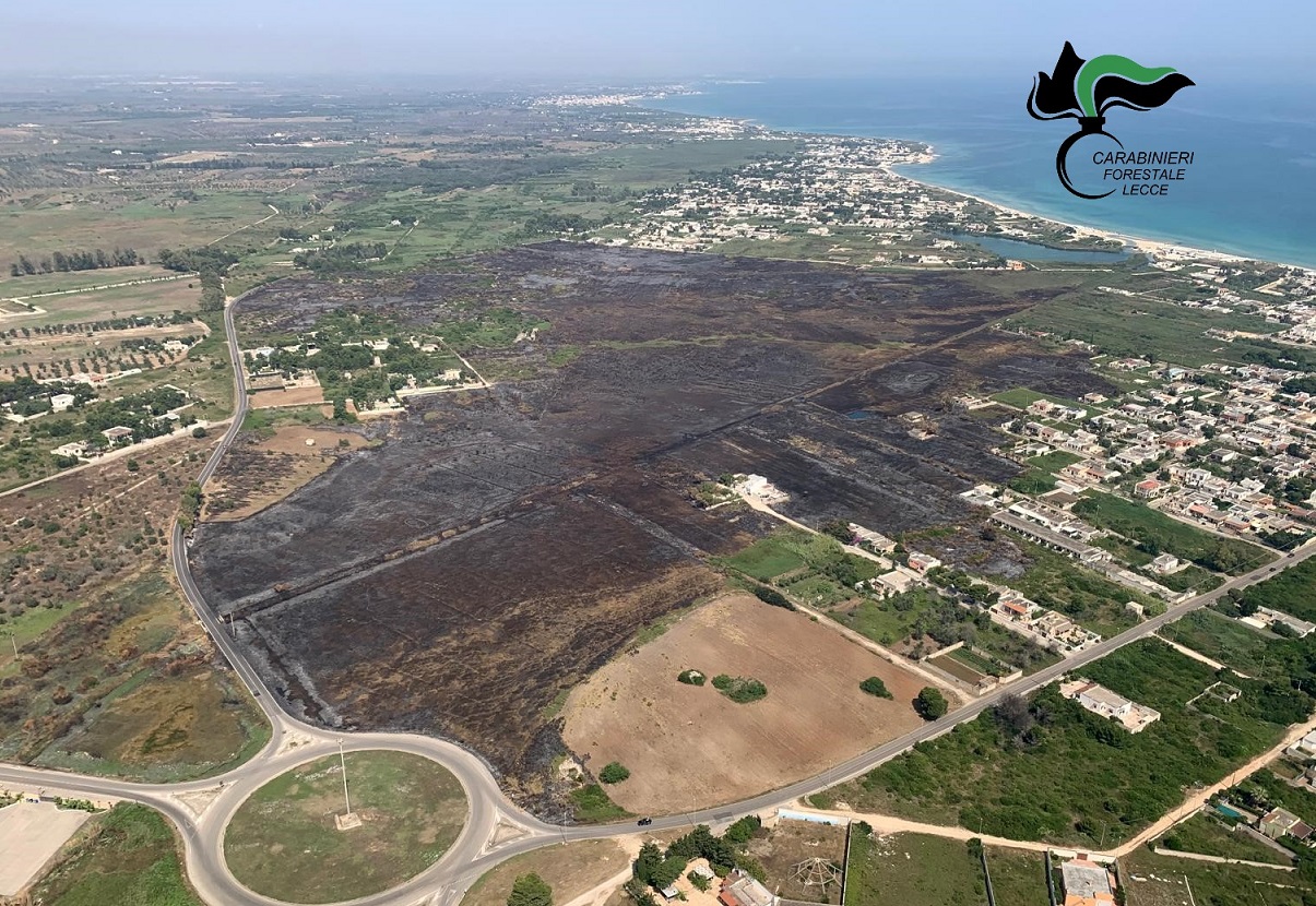 Galleria foto 'Incendi boschivi, nel Salento in campo anche i droni: massima allerta su tutto il territorio' - foto 1