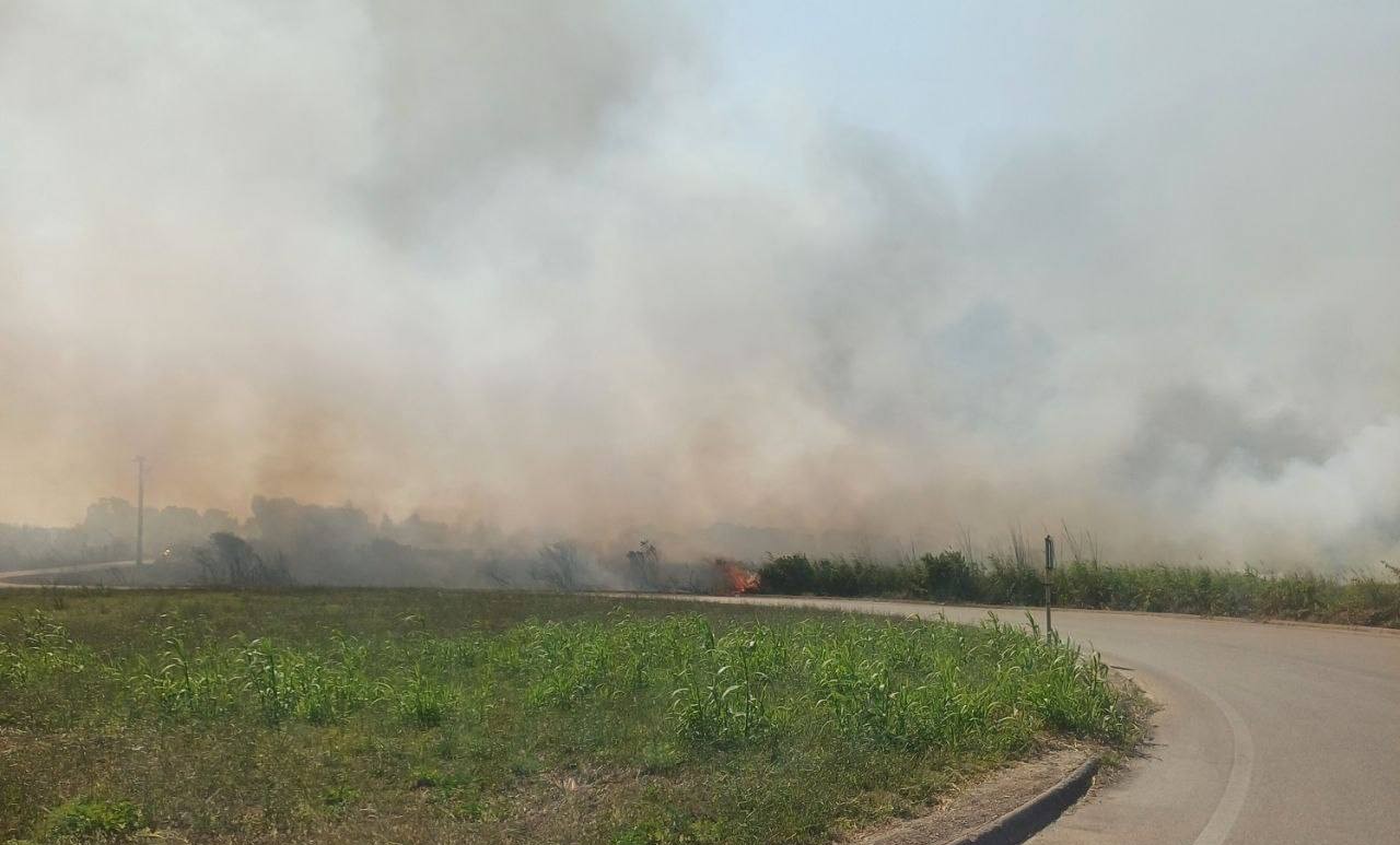Galleria foto 'Brucia il litorale salentino, diversi ettari di macchia mediterranea divorati dalle fiamme: in azione anche i Canadair – VIDEO' - foto 1