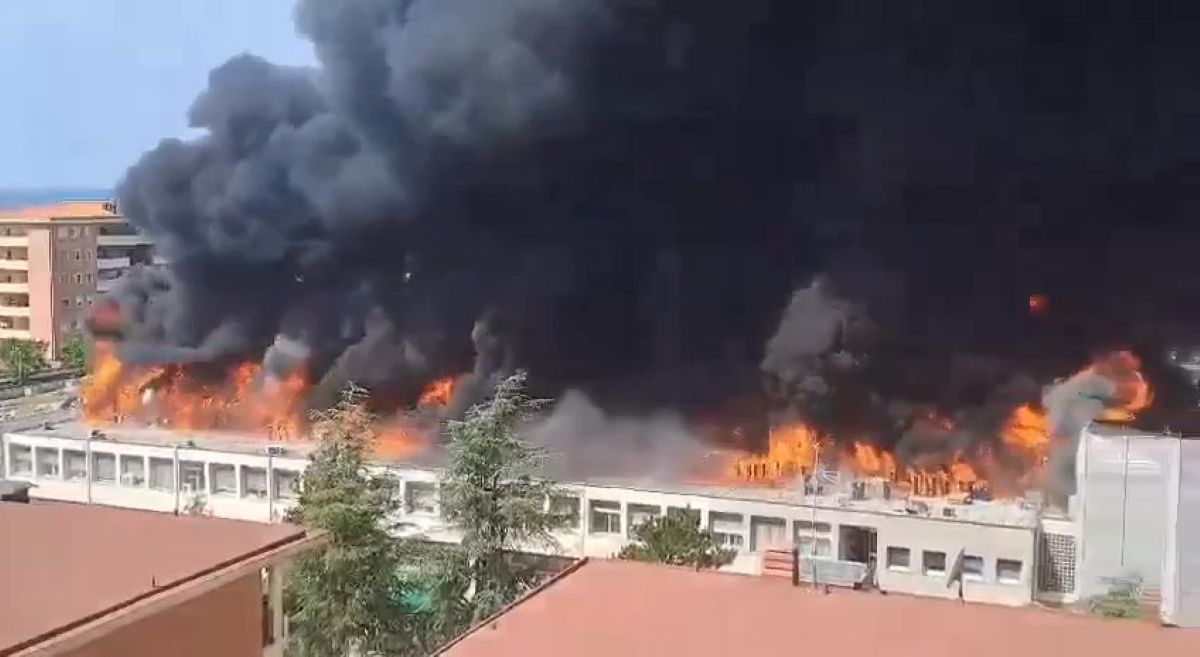 Paura a Viterbo, maxi incendio all’Università della Tuscia: in fiamme la facoltà di Agraria – VIDEO Paura a Viterbo, maxi incendio all’Università della Tuscia: in fiamme la facoltà di Agraria – VIDEO