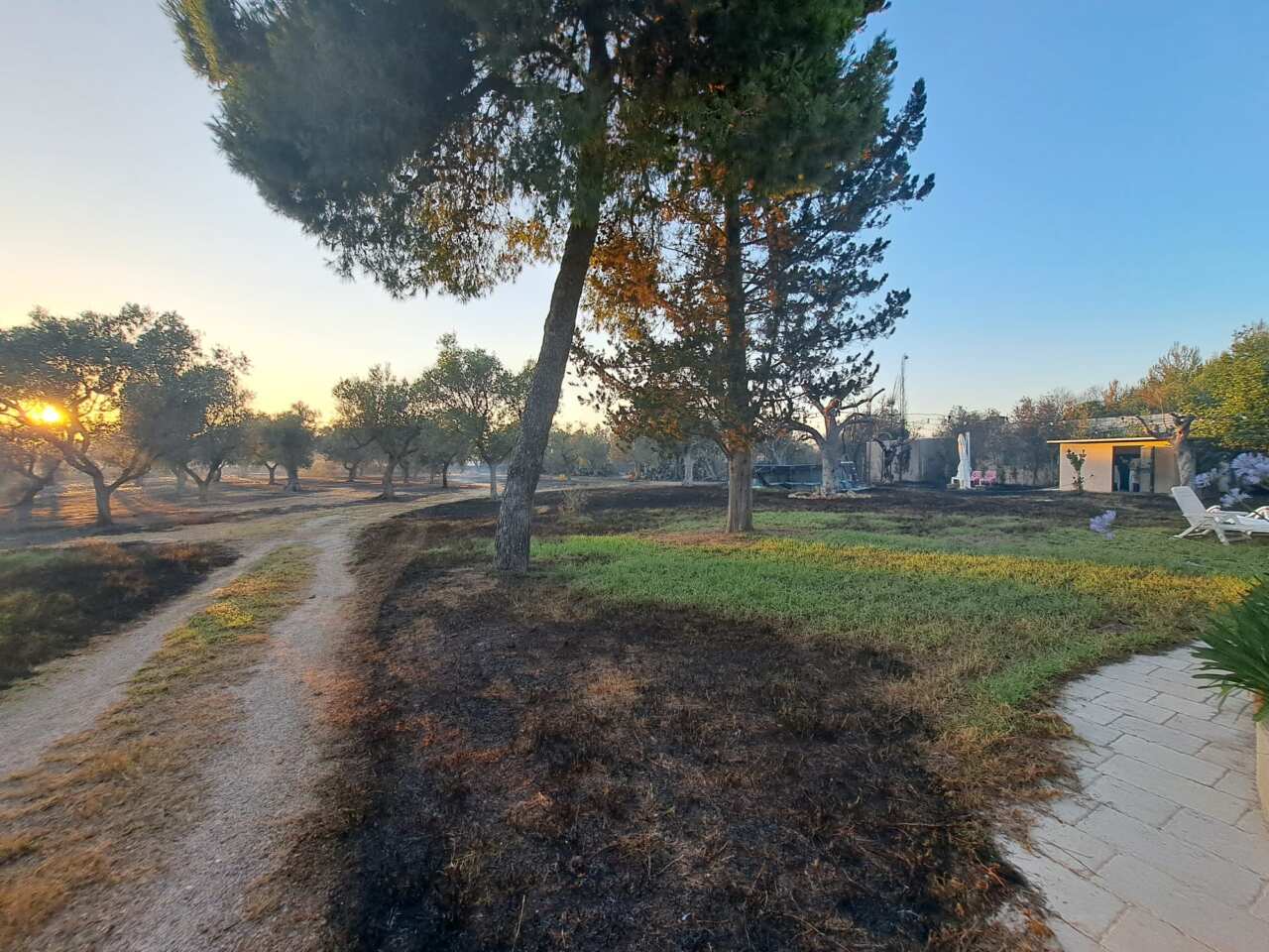 Incendi a Nardò, prevenzione e comportamenti responsabili: l’appello della polizia locale – FOTO