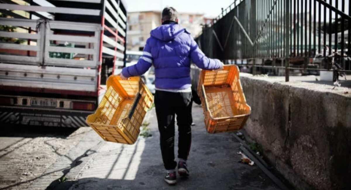 Galleria foto 'Lavoro minorile, boom di casi nel 2024: Puglia quinta regione in Italia' - foto 1