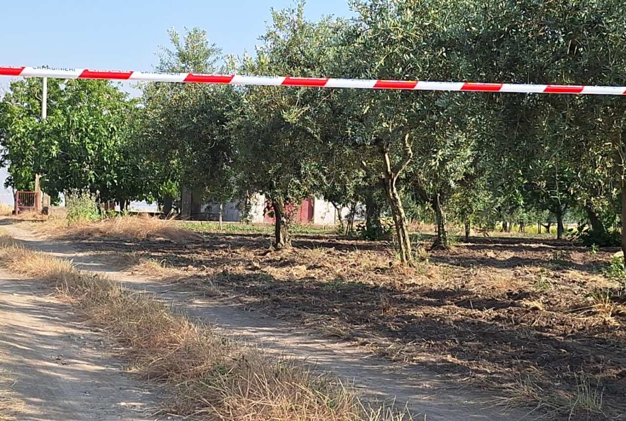 Galleria foto 'Torremaggiore, ancora gravi le condizioni del 17enne ferito da un proiettile: si cerca la pistola' - foto 1