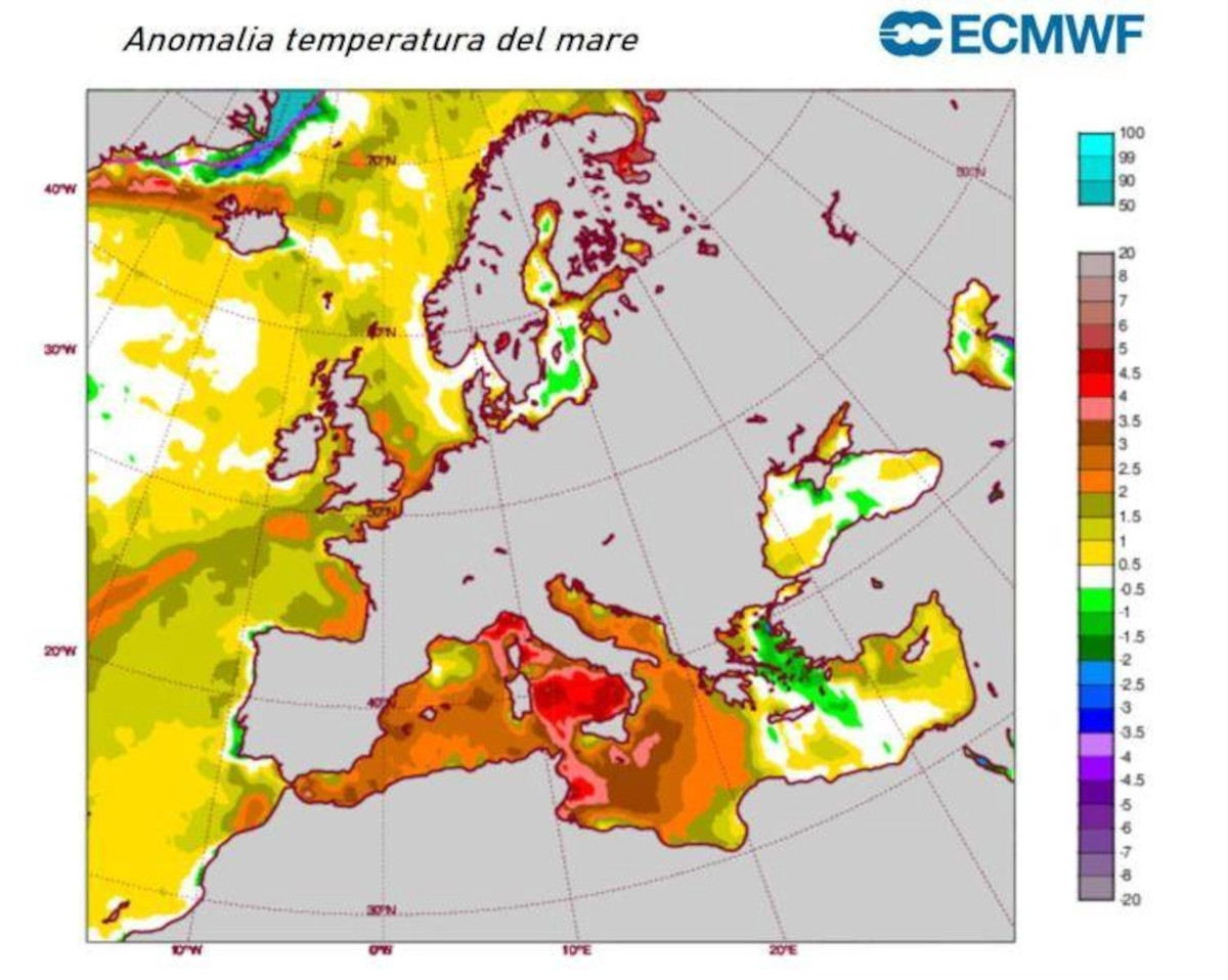 Galleria foto 'Mare rovente, 4 gradi in più nel Mediterraneo già a giugno: è colpa della “Marine Heatwave”. Ecco cos’è' - foto 1