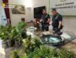 Lecce, trovate una piantagione di marijuana e munizioni da guerra a ridosso della Ss 7ter