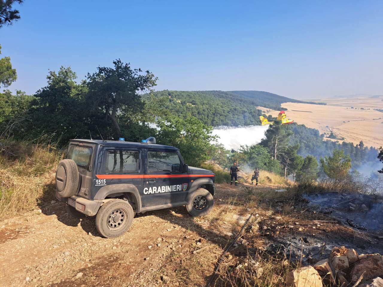 Galleria foto 'Vasto incendio sulla Murgia: decine di ettari di pineta e seminativo in fumo tra Minervino e Andria' - foto 1