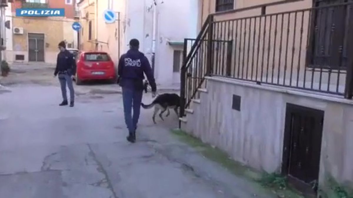 Spaccio di droga nel Foggiano, undici arresti: le contrattazioni avvenivano con messaggi in codice – VIDEO Spaccio di droga nel Foggiano, undici arresti: le contrattazioni avvenivano con messaggi in codice – VIDEO