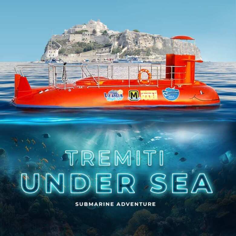 Galleria foto 'Isole Tremiti, si potranno esplorare i fondali marini e la loro biodiversità seduti in un “semi sommergibile” – FOTO' - foto 5