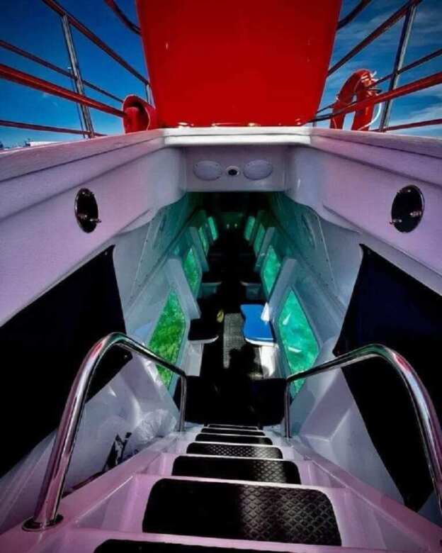 Galleria foto 'Isole Tremiti, si potranno esplorare i fondali marini e la loro biodiversità seduti in un “semi sommergibile” – FOTO' - foto 3