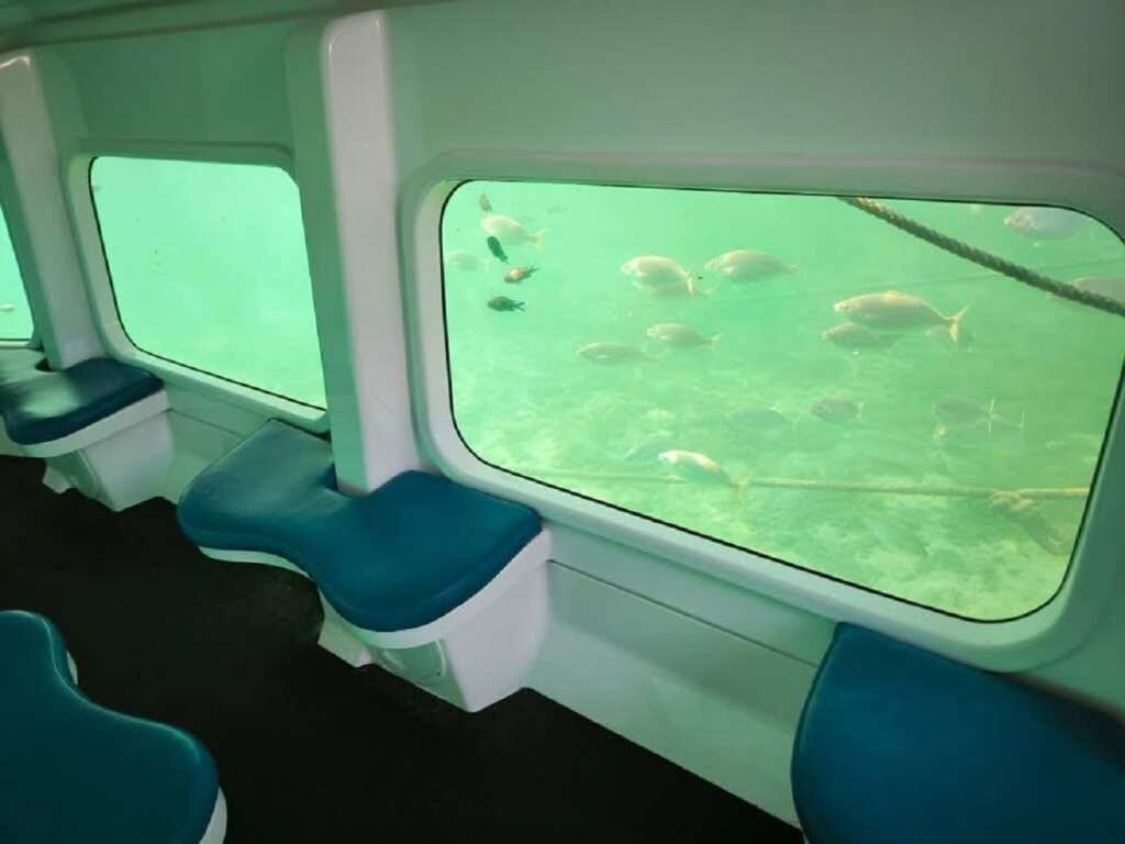 Galleria foto 'Isole Tremiti, si potranno esplorare i fondali marini e la loro biodiversità seduti in un “semi sommergibile” – FOTO' - foto 6