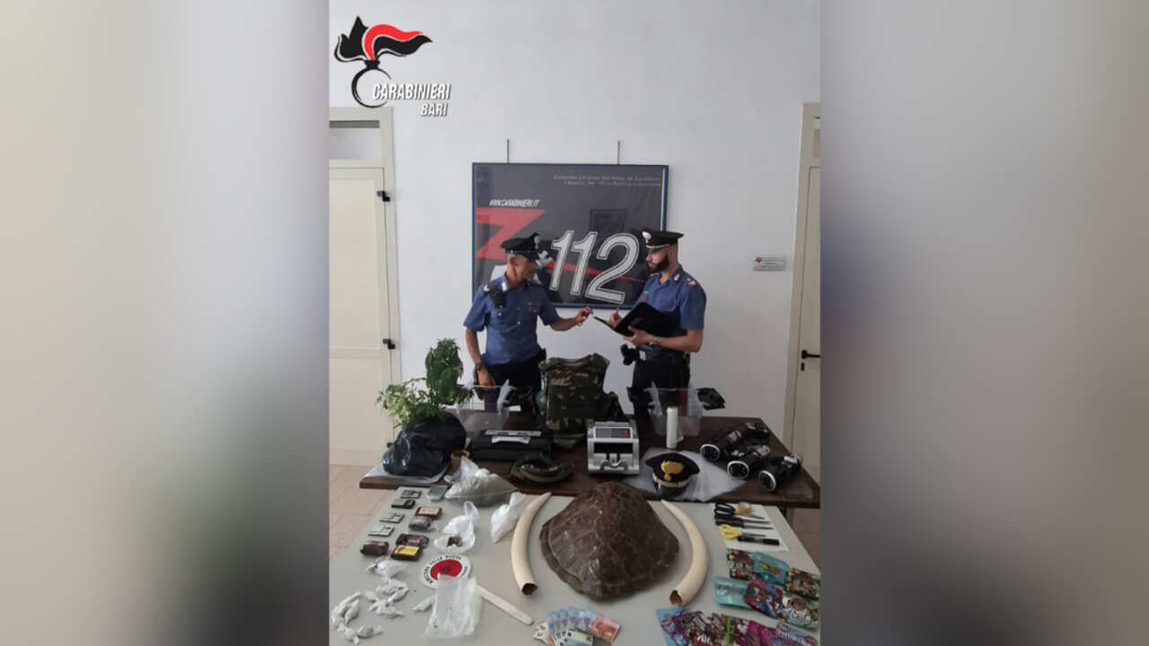 Droga, zanne e un carapace nella casa popolare occupata: arrestati un 21enne e sua nonna a Bari Droga, zanne e un carapace nella casa popolare occupata: arrestati un 21enne e sua nonna a Bari