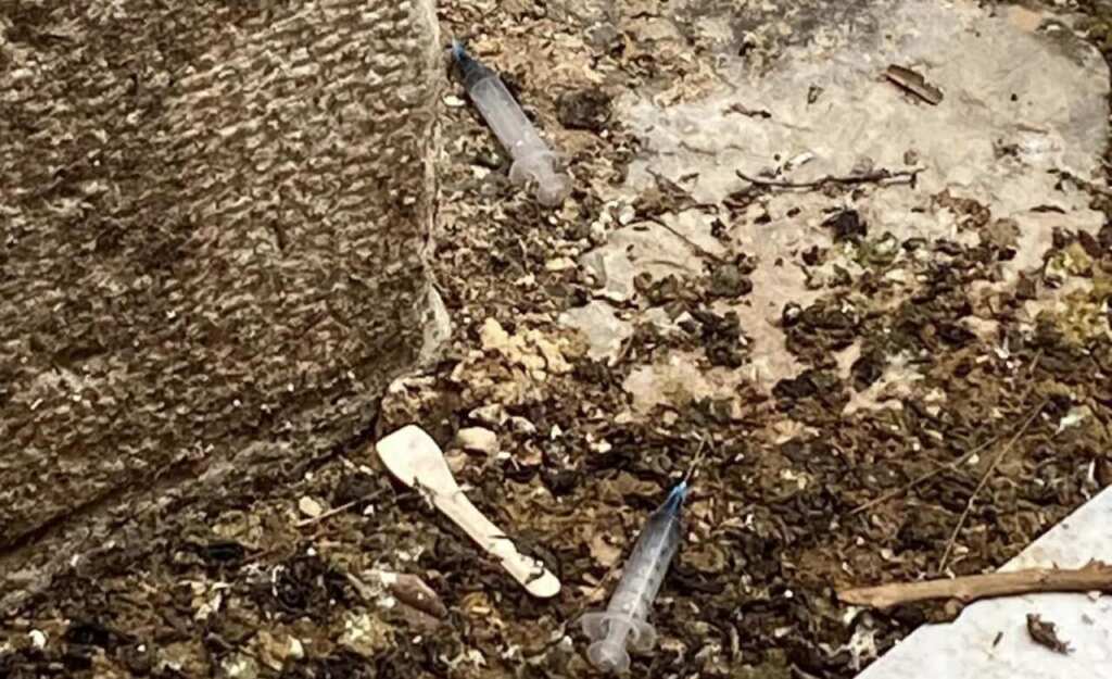 Galleria foto 'Orrore nel Salento, 44enne tossicodipendente sfruttata dai pusher: quattro indagati' - foto 1