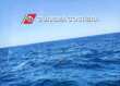 Salvo sub disperso nel Salento: ritrovato dopo ore di ricerche nelle acque a nord di Marina di Novaglie