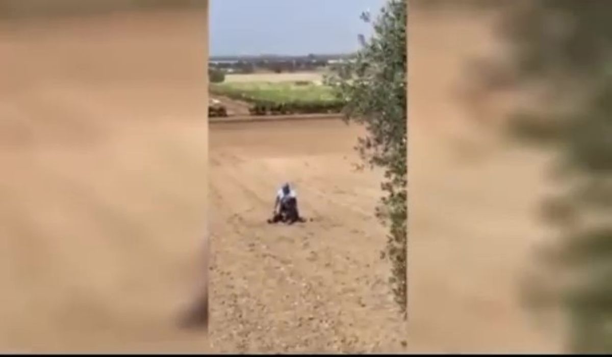 Galleria foto 'Carabiniere ucciso in Puglia, in un video il momento dell’arresto di Michele Mastropietro' - foto 1
