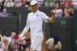 Wimbledon 2025, Sinner batte Shelton e attende la sfida Cobolli-Djokovic per una semifinale tutta italiana