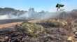 Danno fuoco a rifiuti nelle campagne di Racale: due uomini incastrati dal drone – FOTO