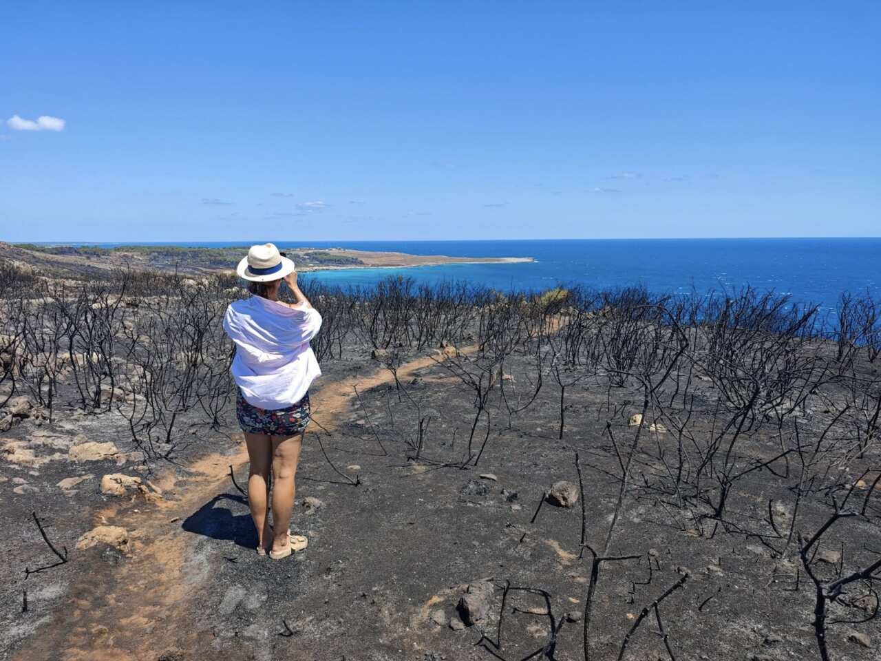 Incendi a Otranto, caccia ai piromani: il Parco Regionale propone ricompensa per chi aiuta a trovarli – FOTO Incendi a Otranto, caccia ai piromani: il Parco Regionale propone ricompensa per chi aiuta a trovarli – FOTO