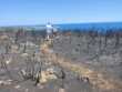 Incendi a Otranto, caccia ai piromani: il Parco Regionale propone ricompensa per chi aiuta a trovarli – FOTO