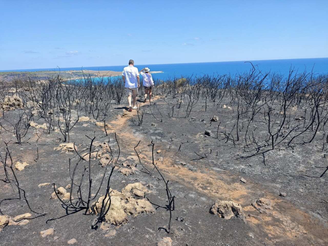 Incendi a Otranto, caccia ai piromani: il Parco Regionale propone ricompensa per chi aiuta a trovarli – FOTO Incendi a Otranto, caccia ai piromani: il Parco Regionale propone ricompensa per chi aiuta a trovarli – FOTO