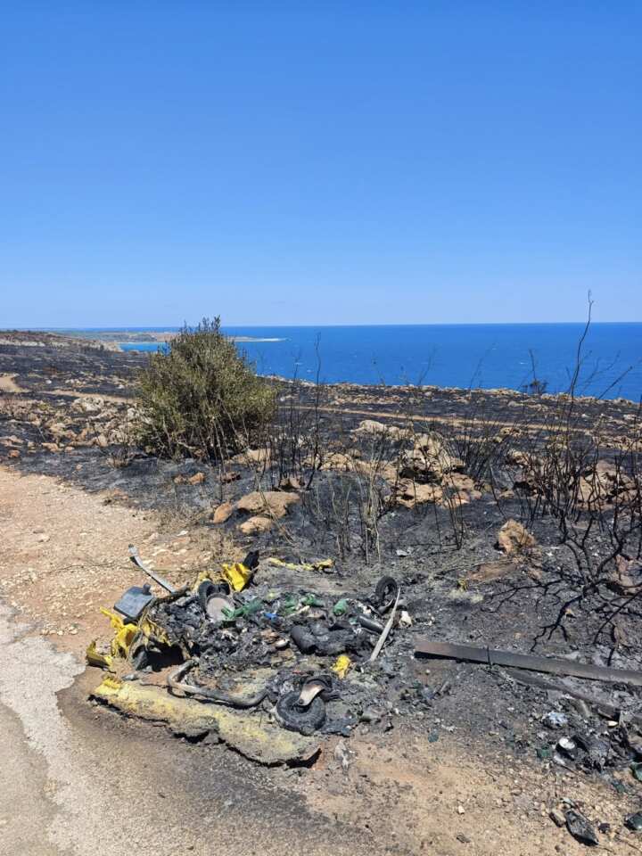 Incendi a Otranto, caccia ai piromani: il Parco Regionale propone ricompensa per chi aiuta a trovarli – FOTO Incendi a Otranto, caccia ai piromani: il Parco Regionale propone ricompensa per chi aiuta a trovarli – FOTO