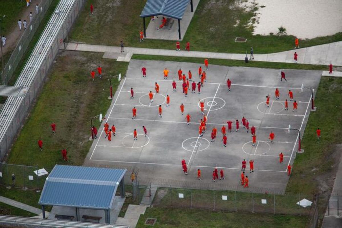 Galleria foto 'Stati Uniti, due cittadini italiani sono detenuti nel centro per migranti Alligator Alcatraz' - foto 1