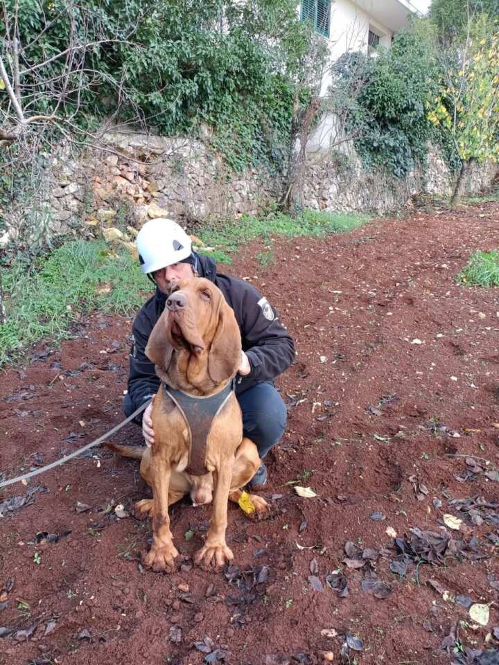 Taranto, un wurstel pieno di chiodi: così è stato ucciso il cane soccorritore Bruno