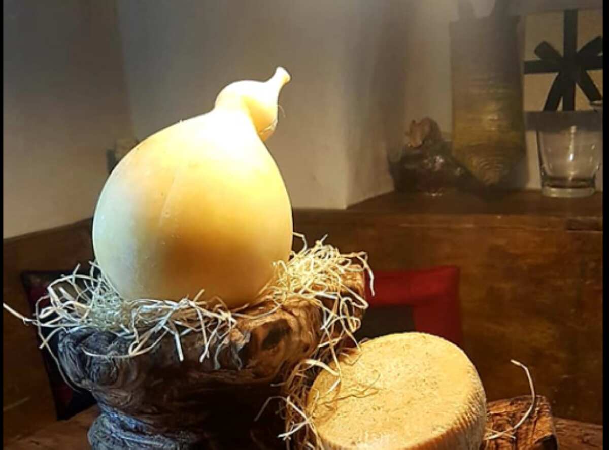 Galleria foto 'Nemoli, Caciocavallo Podolico Lucano: al via l’iter per il riconoscimento DOP' - foto 1