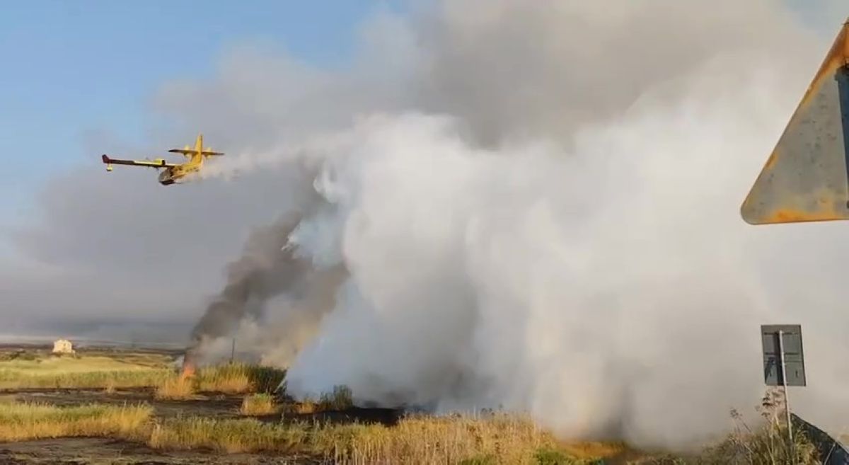 Galleria foto 'Manfredonia brucia ancora, evacuate le spiagge: canadair all’opera. Il sindaco: «La situazione è grave»' - foto 1