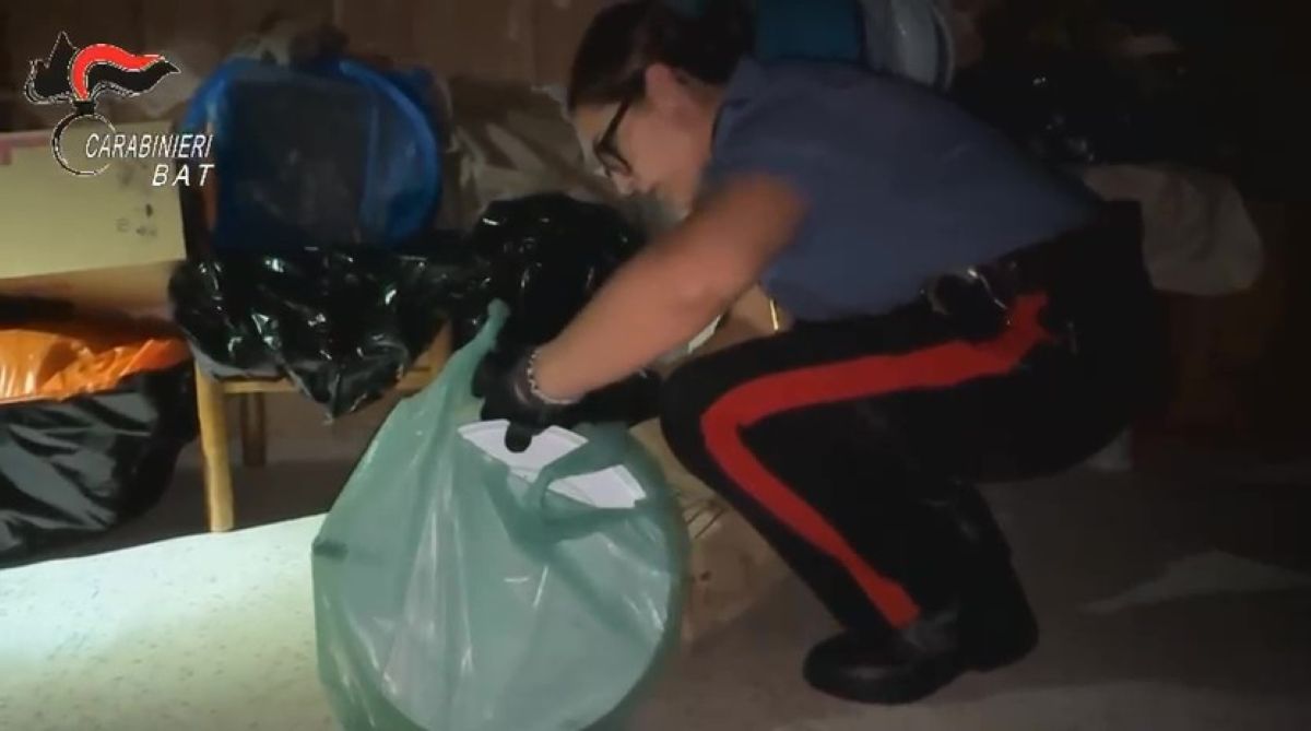 Galleria foto 'Canosa di Puglia, faida per lo spaccio della droga in città: smantellati due gruppi criminali, 11 arresti – VIDEO' - foto 1